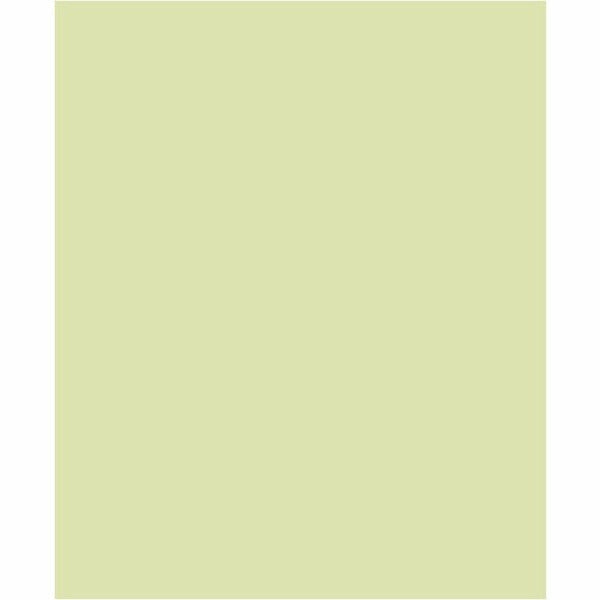 Little Greene - Wormwood 300