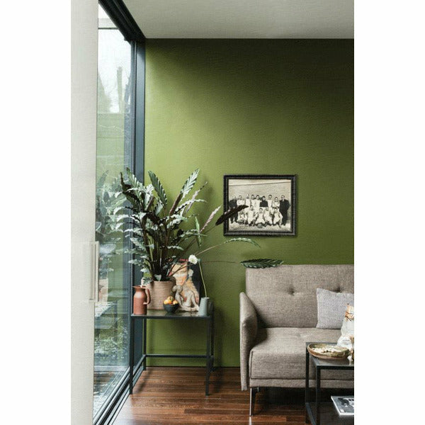 Farrow & Ball - Bancha 298