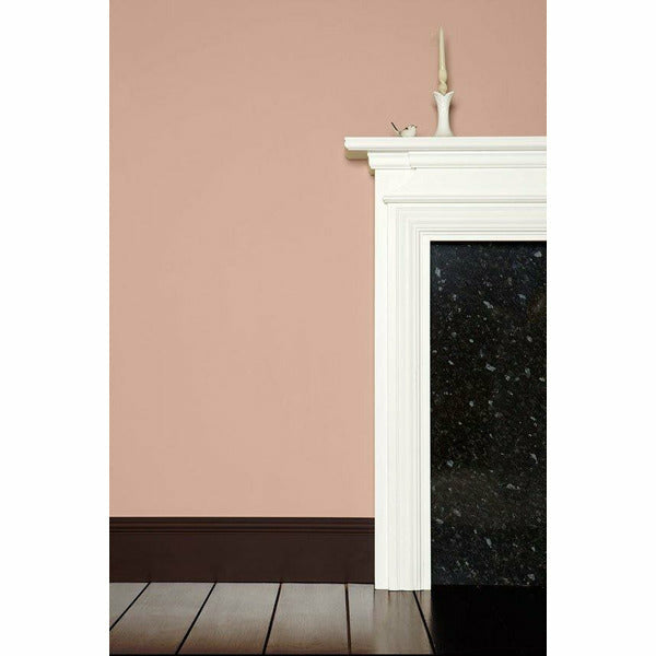 Farrow & Ball - Dead Salmon 28