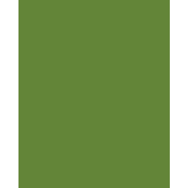 Little Greene - Sage and Onions 288